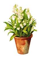 Come To Me Baby (2부)