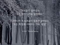 [옒슬] eternal spring