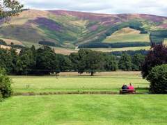 CONTENT-AWARE MOVE TOOL