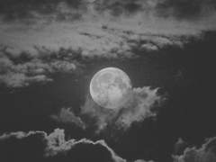 너를 만났던 그때