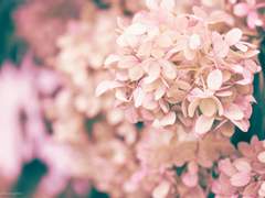 11월 11일은 생일 축하의 날