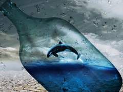 [미하베] 모래늪 Epilogue