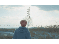 삿포로에 갈까요?