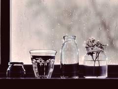 너와 나의 운명 01