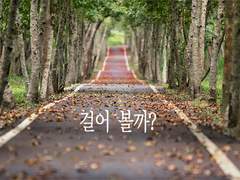 MENU - WINDOW - CHARACTER