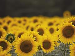 트위터 썰 백업