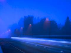 어릿광대를 보내주오