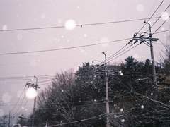 다정이 지나친 사람