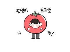 멋쨍이 토마토 윤화평