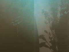 11월 15일과 11월 15일이 아닌 날