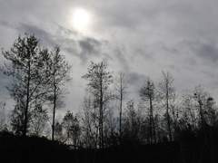 [리들애쉬] 당신의 절망