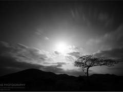 아름답고도 아프구나