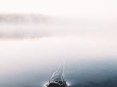 너와 나의 거리