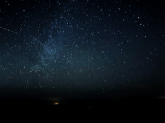 [스포有][필리아로제] 밤의 광야에도 장미는 피는가
