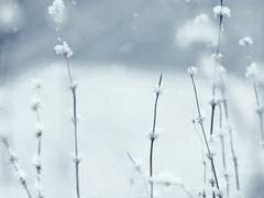 [토니스팁닥스] Rumor has it - 1 ~ 5 - (완)