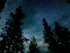 너를 만나고 싶어, 환상 속의 나를 찾아줘