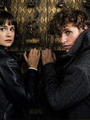 fantastic beasts