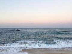 [곽가×조조]스물다섯, 스물하나 上