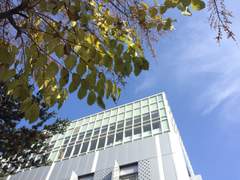 한국여성학회 2018 추계학술대회 단상