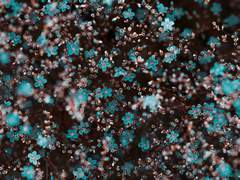 [진우승효] 데리러 가 - 下