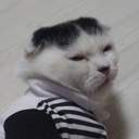 몽냥 (蒙昧) (✨레오센세 집사✨)