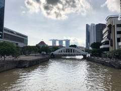 걷기 시작한 날