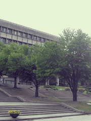 [녤옹] gayful? gayful! - 完