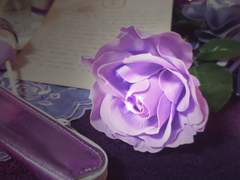 친구들이 보내준 1주년 축하 메시지