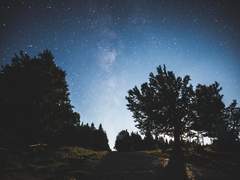 [레이슈] 네가 없는 겨울