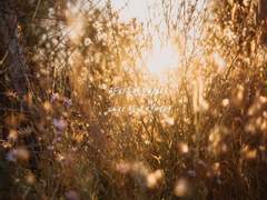 [겨울정원] 짝사랑 조각사유 01