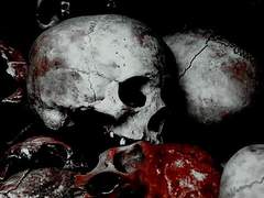 [빌런버키스팁] The End of the Line (05)