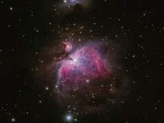 [스콧이프]만약(if)의 이야기