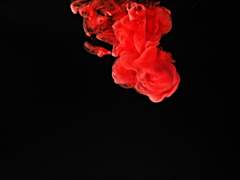 [지정] Black Tongue 08