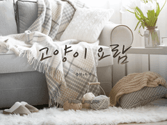 [중혁독자] 고양이 요람