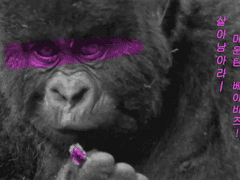 살아남아라 마운틴 베이비즈_서영