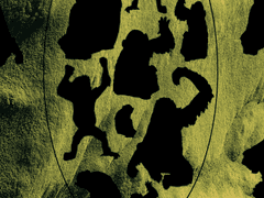 새끼동물이살아남는법_민경