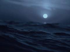 태양을 훌치는 홰