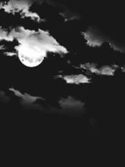 나의 작은 그리움.