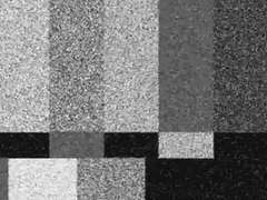 쟌도 호러합작후기