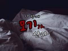 이 방에 모기가 산다