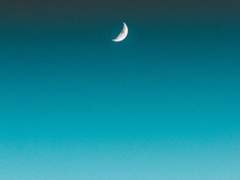 [선기하림] 친구