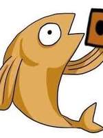 전지적독자시점