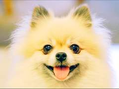 완벽한 모양 #00