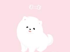 유료 발행 중지 안내