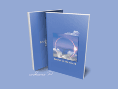 레디메이드 표지 _ Secret in the cloud