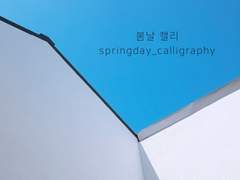 봄날 캘리