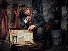 신비한 동물들과 그린델왈드의 범죄 리뷰