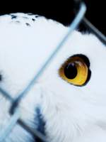 26기지&폭스트롯