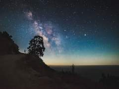 [코크에세] 새벽 서표書標