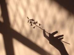 키다리 아저씨 -1